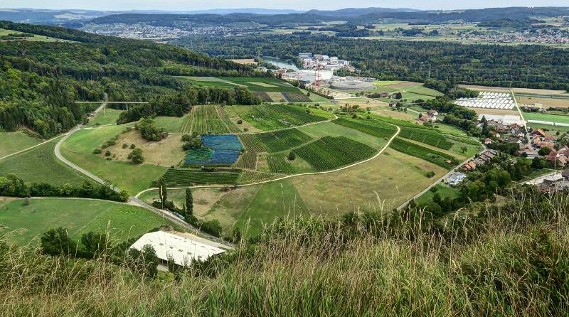 200825-Wanderung-Geissberg_7164_5_6