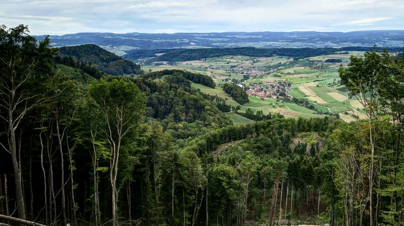 200825-Wanderung-Geissberg_7198_199_200