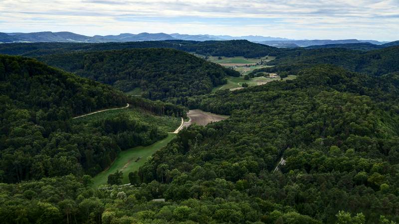 200825-Wanderung-Geissberg_7216_7_8