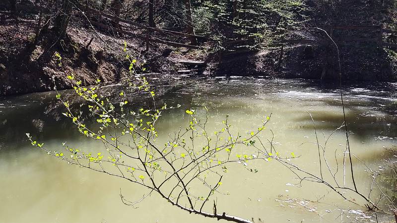 200415-Wanderung-Etelweiher-Schneisingen_120536