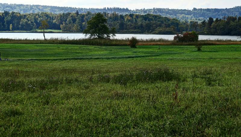 211008-Wanderung-rundum-katzensee_8124_5_6