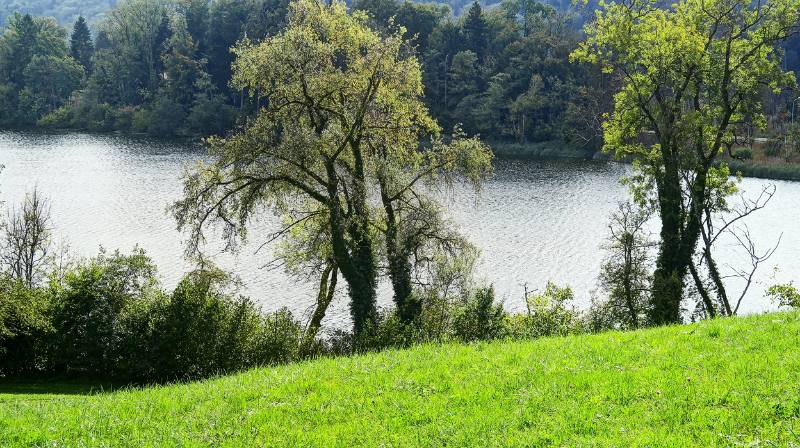 Image Wanderung  rundum Katzensee