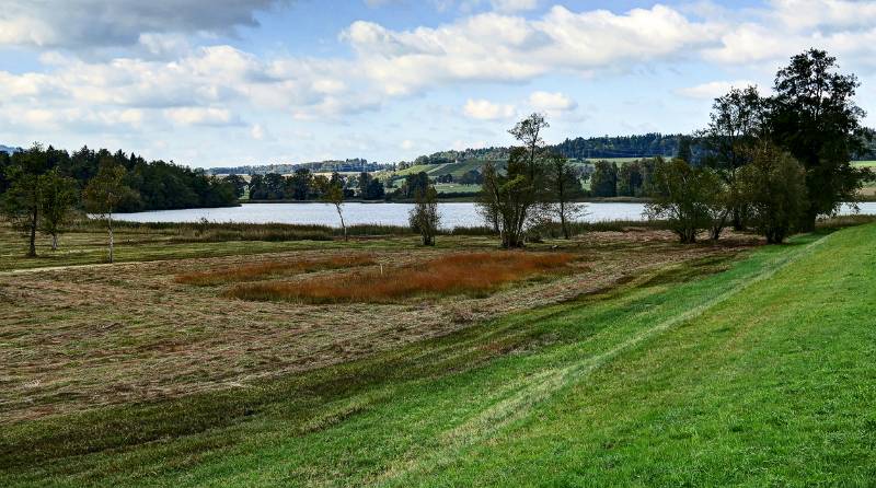 211008-Wanderung-rundum-katzensee_8154_5_6