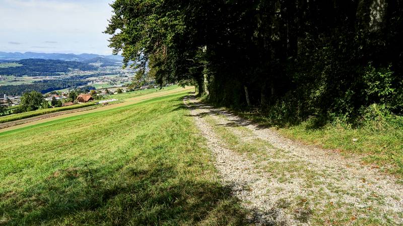 210928-Wanderung-hausen-hasenberg-egelsee-hausen_7977_8_9