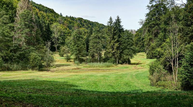 Image Wanderung Hausen - Hasenbergturm - Egelsee - Hausen