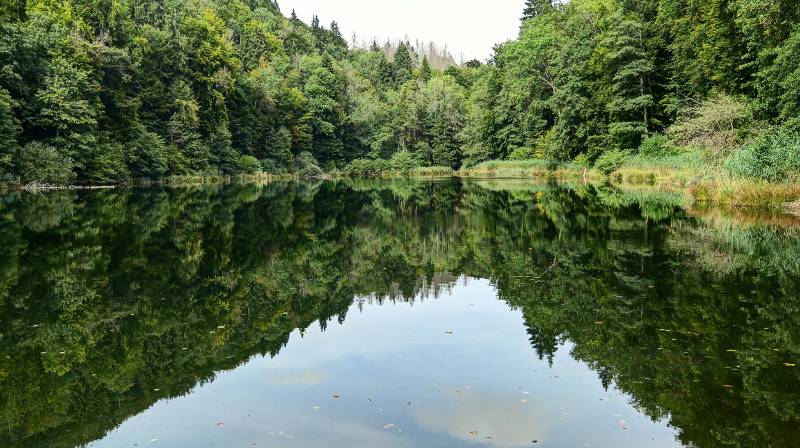 210928-Wanderung-hausen-hasenberg-egelsee-hausen_8034_5_6