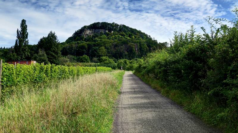 210810-Wanderung-Sissacherflue_7890_1_2