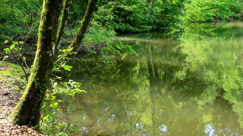 Beim Fünfweiher