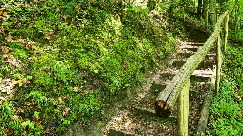 Die Treppe zum Bärehübel