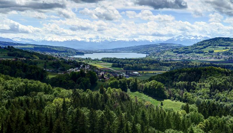 Hallwilersee und am Horizont - die Alpen