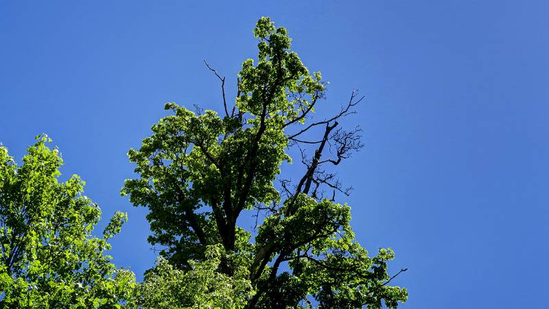 Blau und Grün