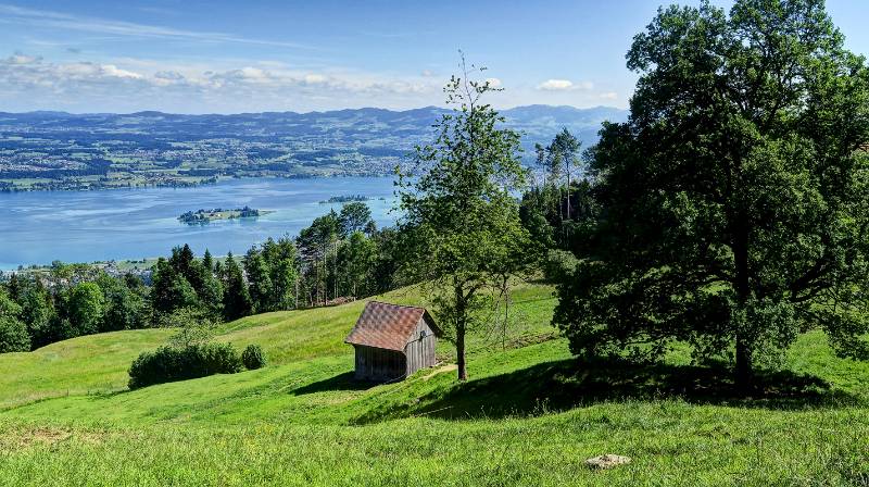 Die Inseln Ufenau und Lützelau im See