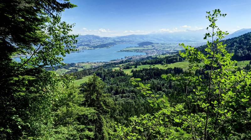 Blick zum Ost-Ende von Zürichsee