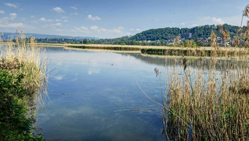 Die Inseln im See