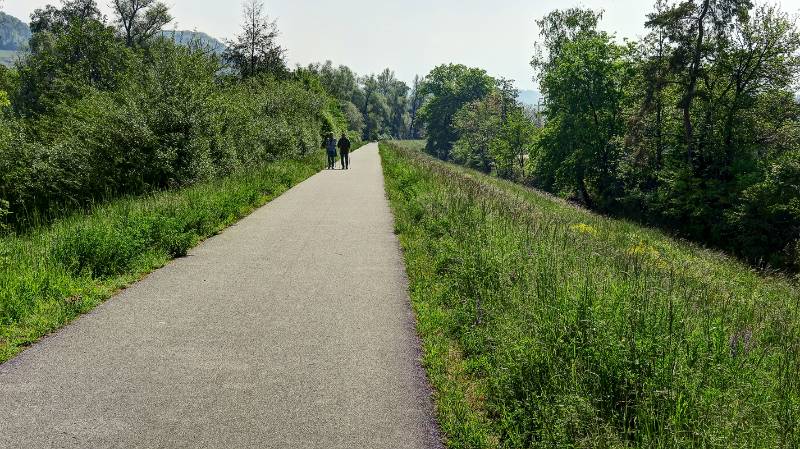 Am Ufer von Klingnauer Stausee Richtung Kleindöttingen