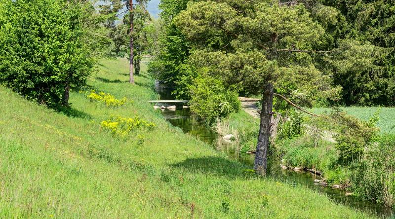 Ein Bach im grünen