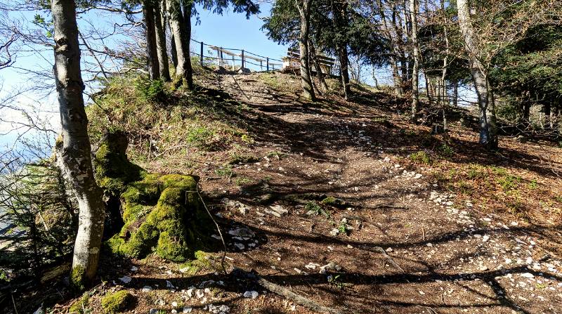 Wanderrunde von Fridaustrasse über den Höchi Flue Grat zur Burgruine Alt-Bechburg