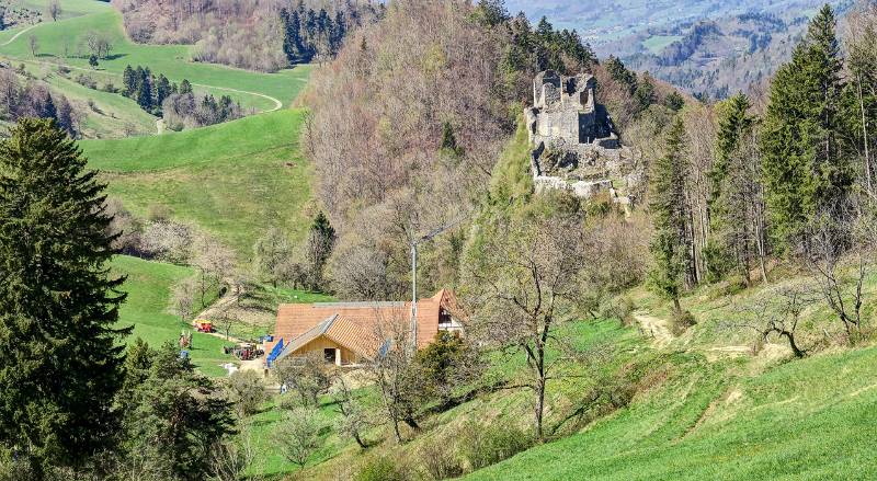 Burgruine Alt-Bechburg