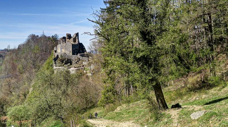 Burgruine Alt-Bechburg