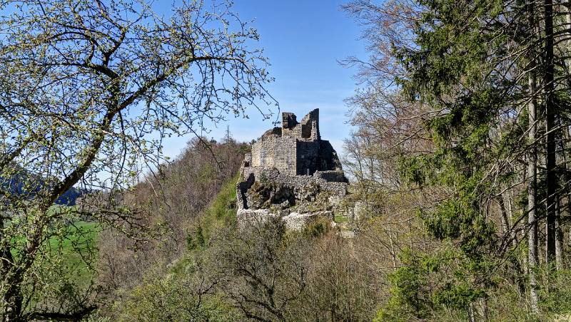 Burgruine Alt-Bechburg