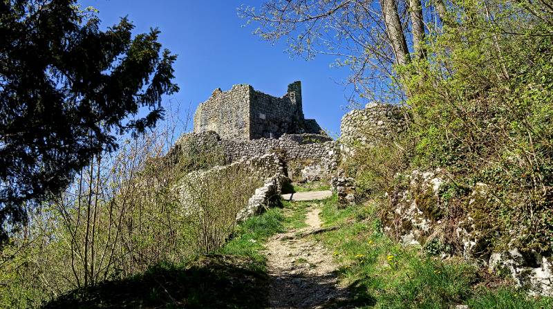 Burgruine Alt-Bechburg kommt immer näher