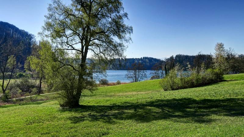 Image Wanderung auf Aeugsterberg und rundum Türlersee