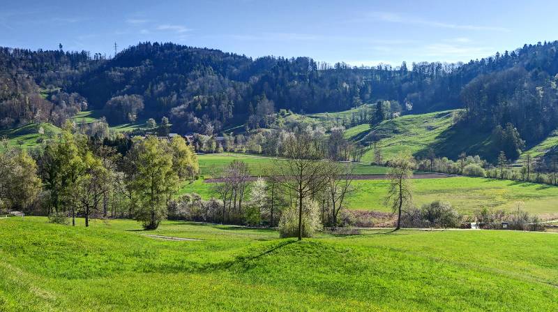 Blick Richtung Habersaat und Albispasshöhe