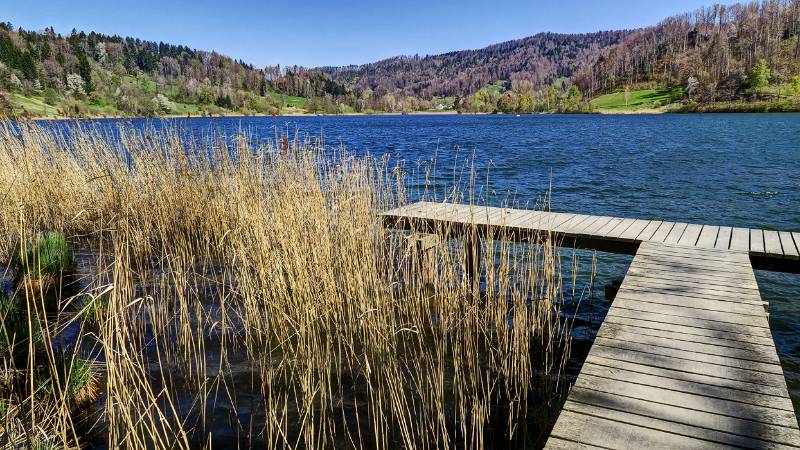 Wieder Türlersee erreicht