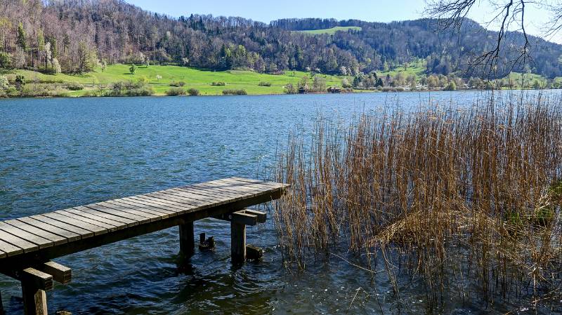 Türlersee