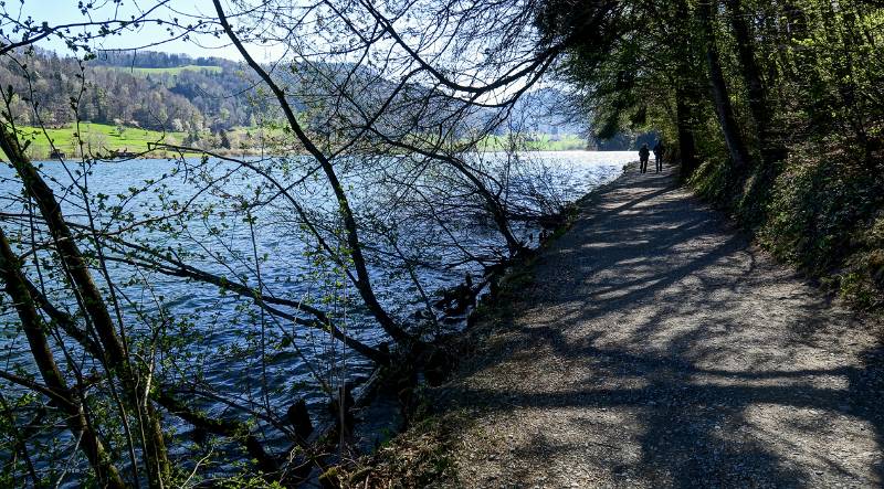 Entlang dem Ufer von Türlersee