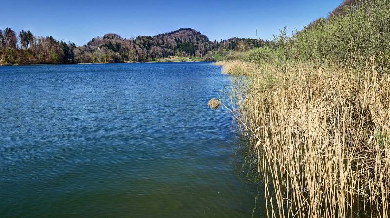 Türlersee und der Hügel vorne - Aeugsteberg