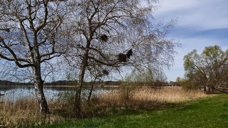 Gemütliche Runde rundum Pfäffiker See