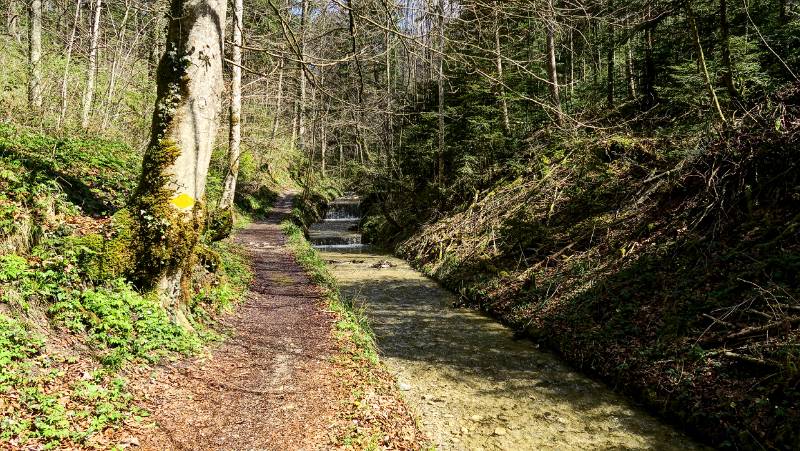 Sehr schöner Wanderweg entlang dem Bach im Hutziker Tobel