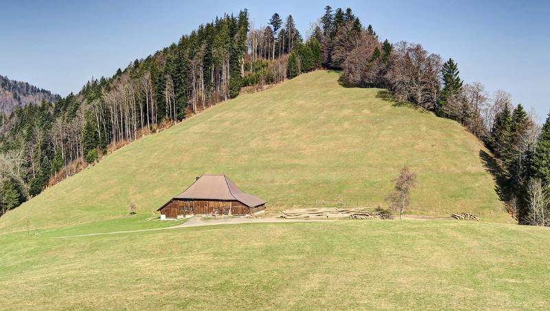 Schwämi noch im Winterschlaf