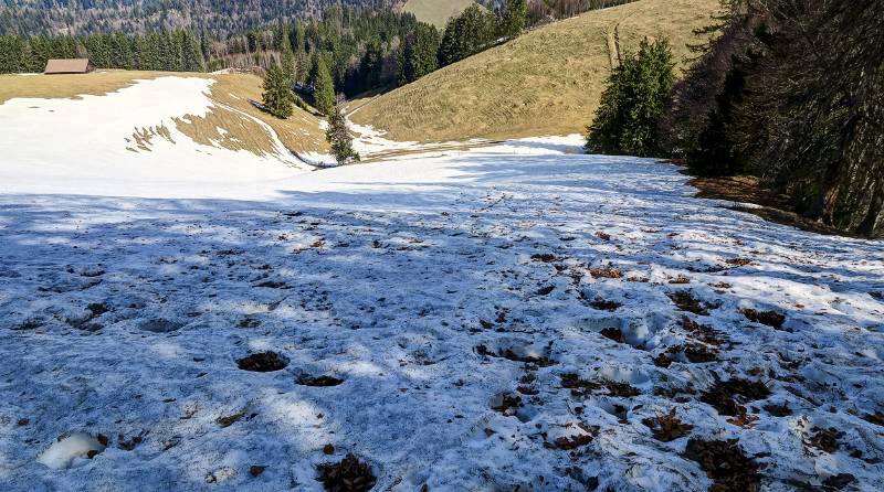 Immer wieder Schnee zur Abkühlung