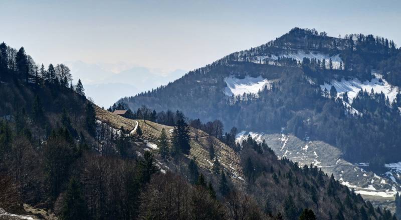 Views in der Pause - markanter Höchhand vorne