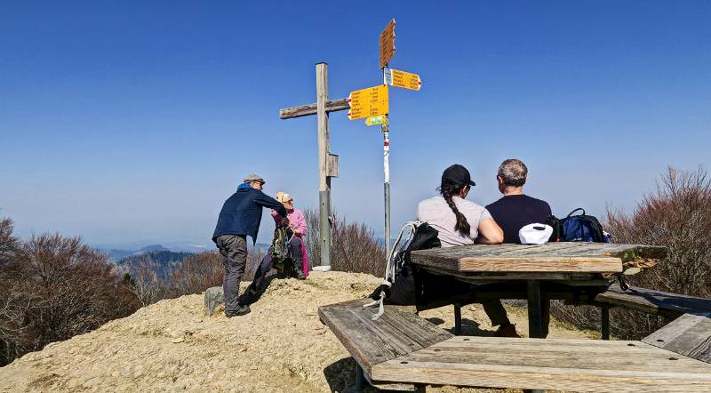 Wanderung auf den höchsten Berg des Kt. Zürich von Libingen aus.