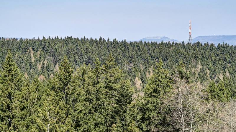 Sehr viel Feuchtigkeit in der Luft. Fernsicht vom Turm ist eingeschränkt