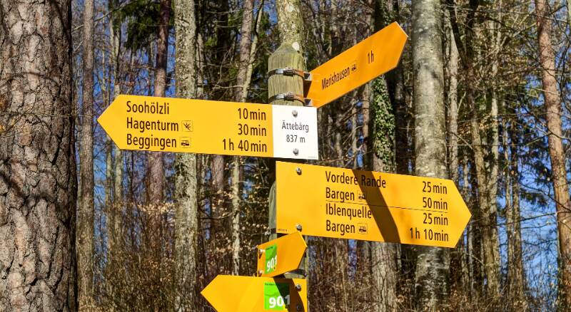 220324-Wanderung-Hohe-Randen-Hagenturm_8988_89_90