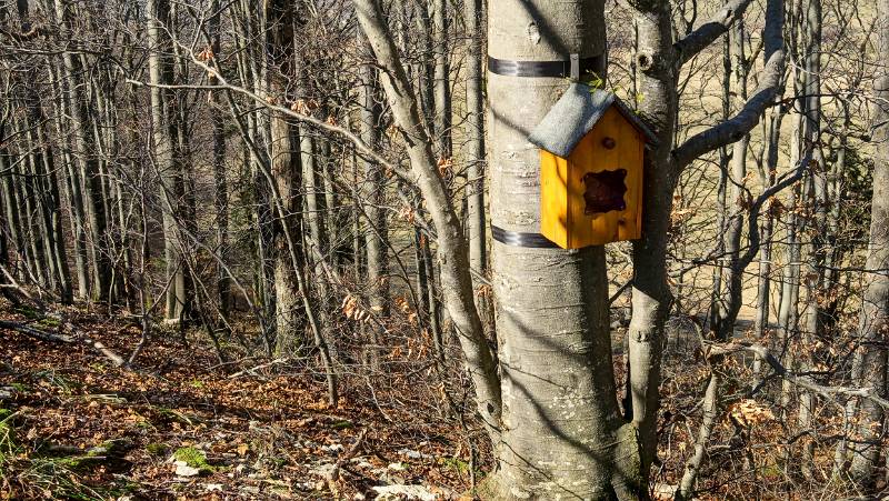 Vogelhaus auf dem Dottenberg, aber drinnen ist was ganz anderes