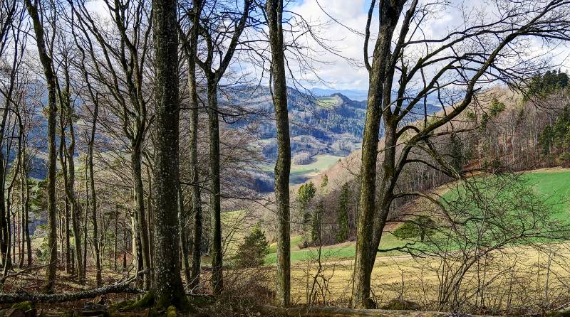 220223-Wanderung-Densbuerer-strihen_8514_5_6