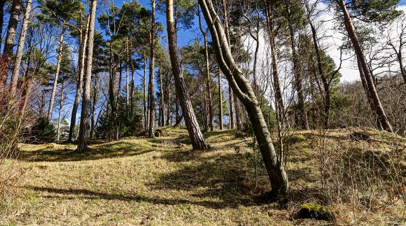 Kurwenreiche Rundwanderung auf Densbürer Strihen. Ausgangspunkt ist Benkerjoch.