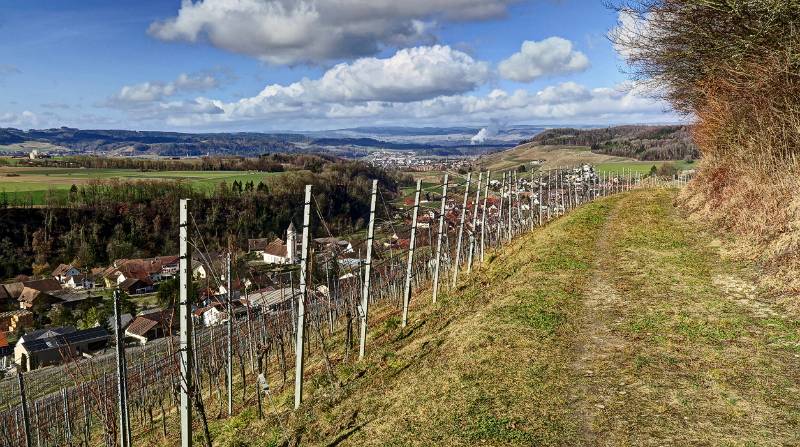 Eine gemütliche Panoramawanderung rundum Weinbaudorf Tägerfelden.
Start und Finish auf dem Zurzacherberg