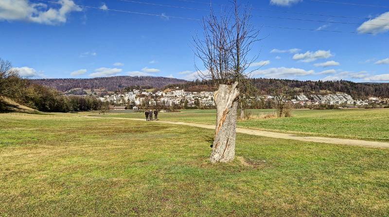 Blick Richtung Erlinsbach