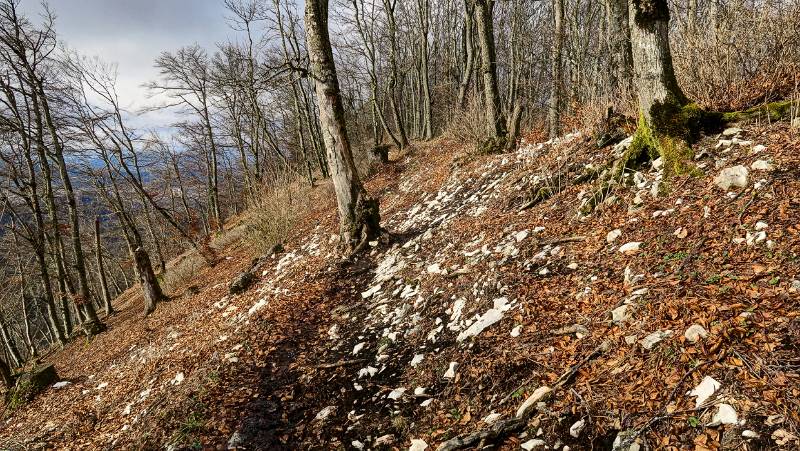 Grau und Braun auf dem Hang von Lägern