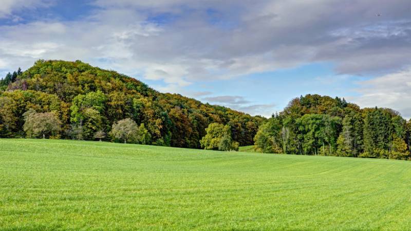 Es ist noch ziemlich grün