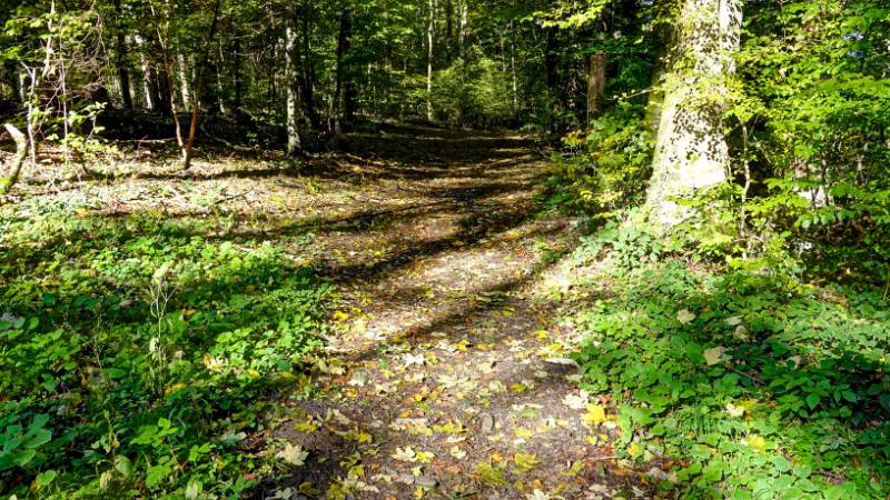 Spaziergang über Licht und Schatten