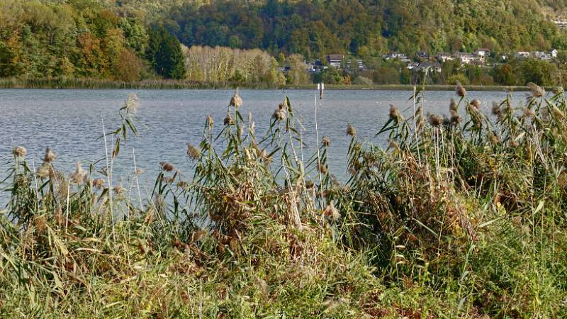 231027-wanderung-rundum-klingnauer-seel-06880_1_2