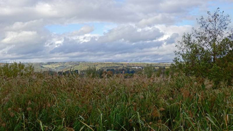 231027-wanderung-rundum-klingnauer-seel-06901_2_3