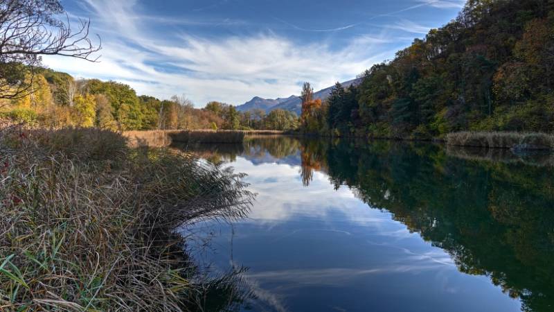 Stark bewachsener Lac de Mont d'Orge